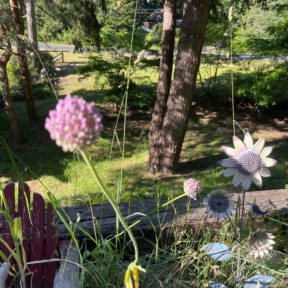 Meet your Posher, Vicki - Picture 17 of 17